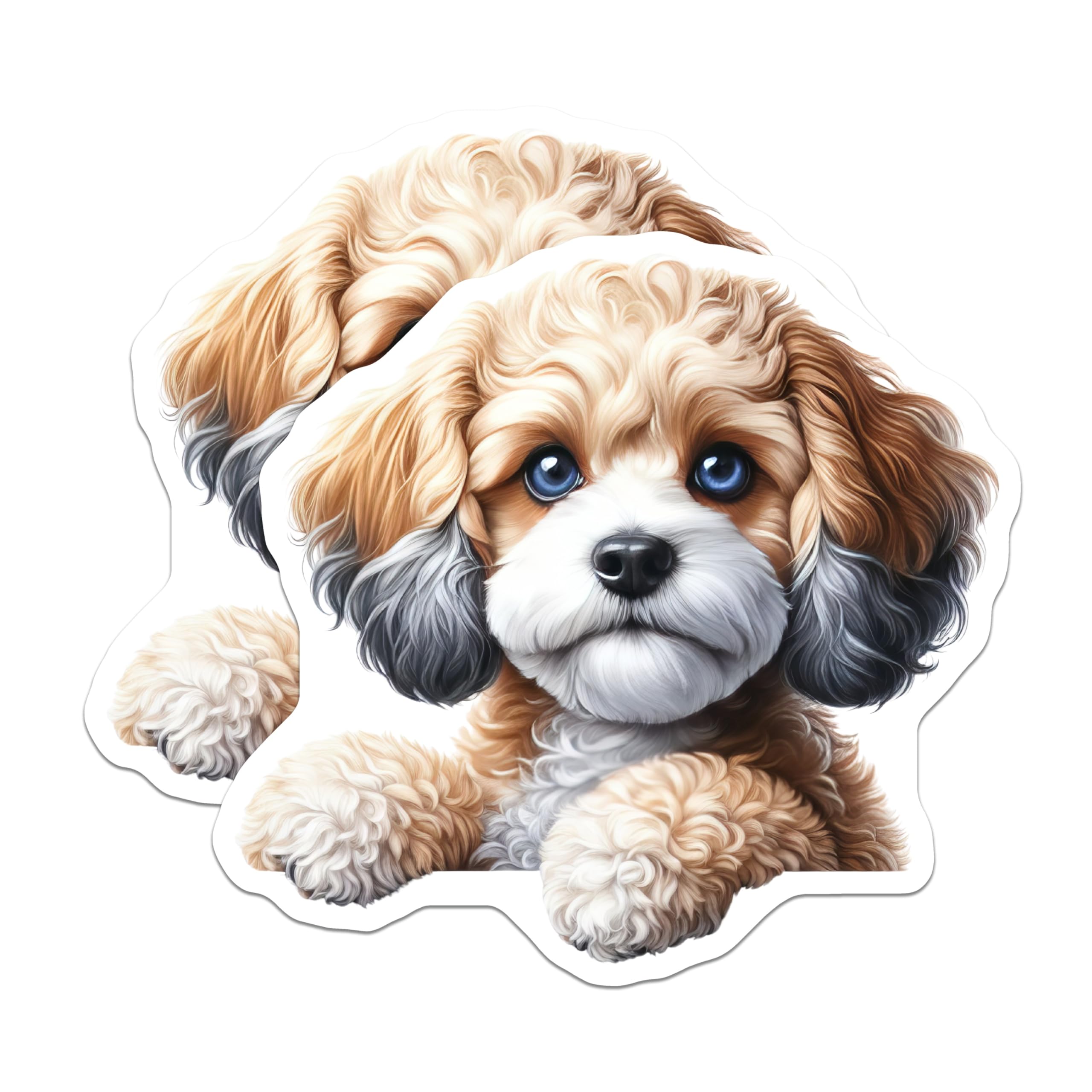 (2 Pack) Cavapoo Magnets - Dog Breed Magnet - Cute Animal Refrigerator Magnets - 5" On Longest Side - Premium Magnet - for Cars, Refrigerators, Toolboxes, Lockers - Made in USA - MAG14709
