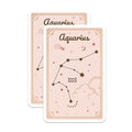 (2 Pack) Zodiac Sign Magnet - 5" On Longest Side - Sticks to Smooth Flat Surfaces - Made in USA - MAG9589
