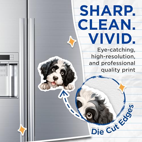 (2 Pack) Adorable Animal Magnet - Fun Fridge Accessories - 5" On Longest Side - Sticks to Smooth Flat Surfaces - Made in USA - MAG10256