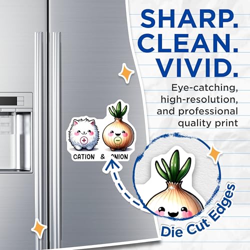 (2 Pack) Cation and Anion Magnets - Cute Chemistry Characters - Kawaii Science Classroom Decor - 5" On Longest Side - for Cars, Fridges, Toolboxes - Made in USA - MAG8031