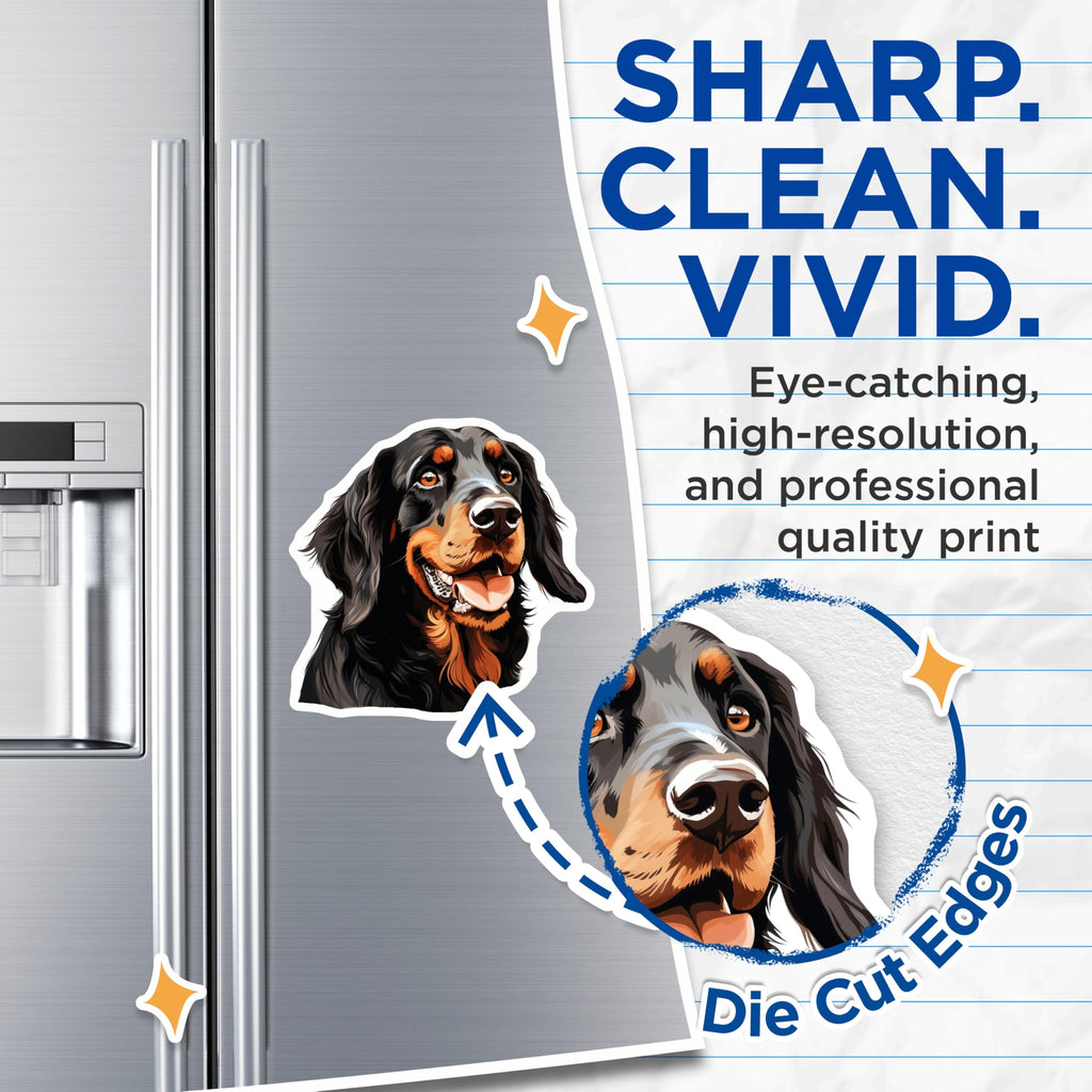 (2 Pack) Gordon Setter Dog Magnets - Black Tan Canine Art - Pet Lover Refrigerator Decor for Dog Owners - 5 Inches On Longest Side - Thick Durable Magnet - Made in USA - MAG24397