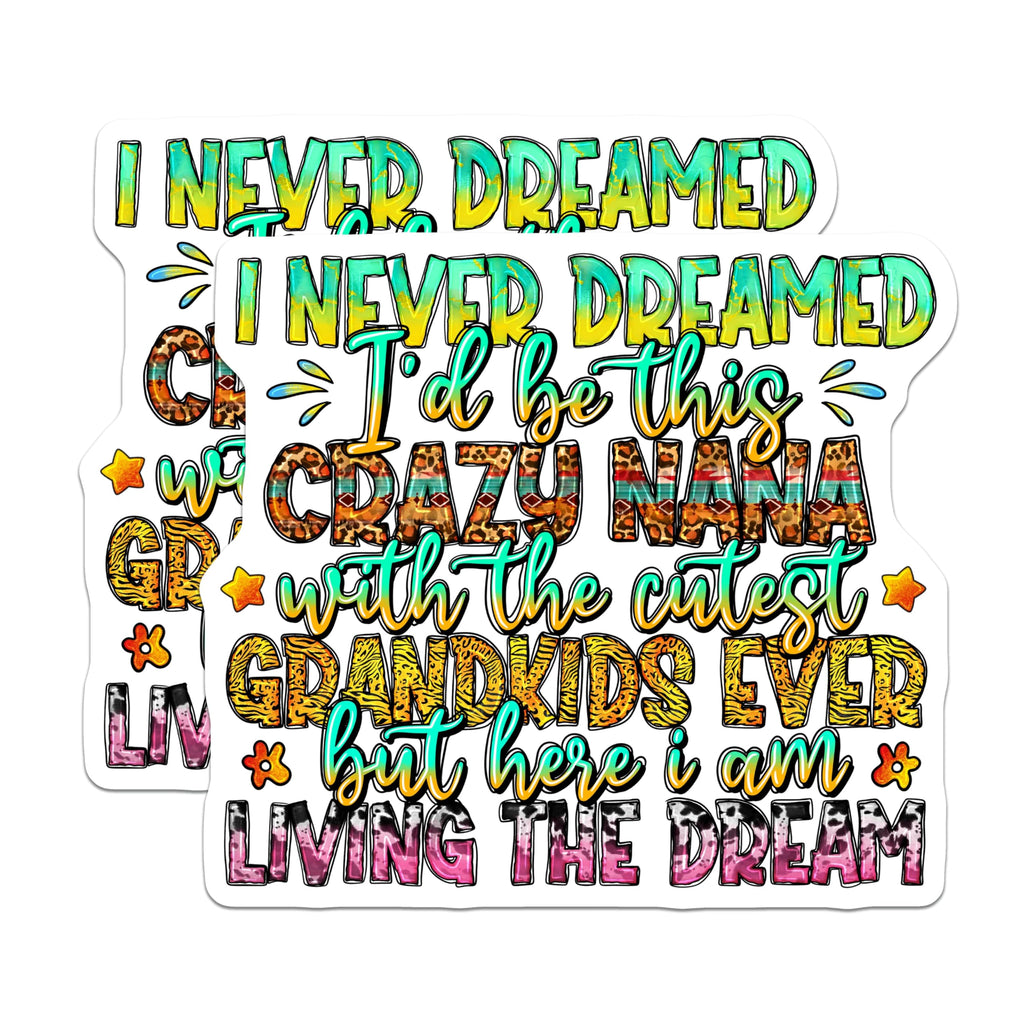 (2 Pack) Crazy Nana Magnets - Cutest Grandkids Ever Quote - Grandma Life Decor - Funny Saying - Family Love - 5 Inches On Longest Side - Thick Durable Magnet - Made in USA - MAG24501