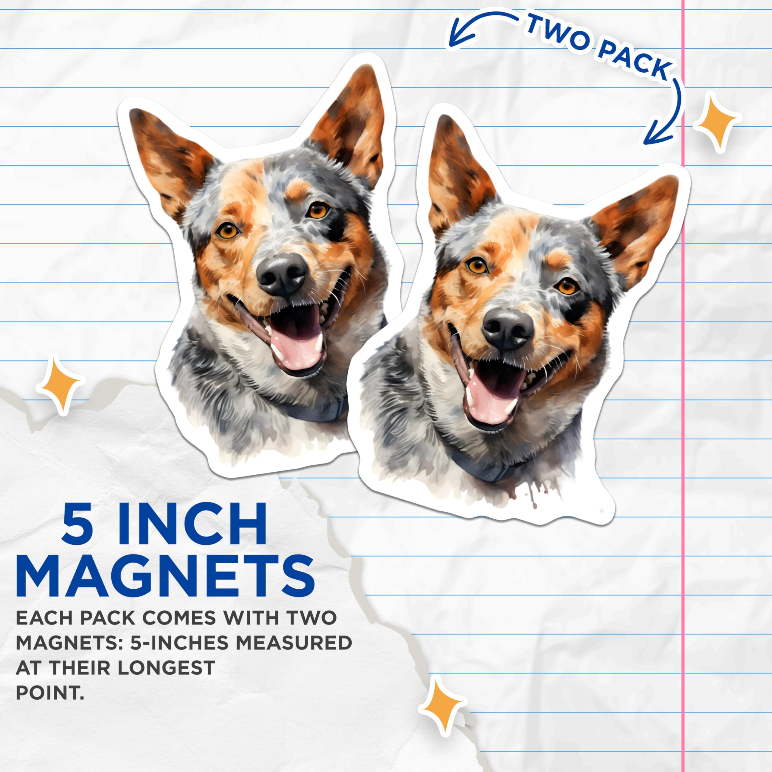 (2 Pack) Australian Cattle Dog Magnets - Smiling Blue Heeler Art - Dog Lover Fridge Decor - 5 Inches On Longest Side - Thick Durable Magnet - Made in USA - MAG23747