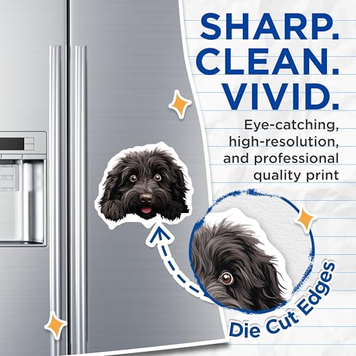 (2 Pack) Funny Dog Lovers Magnet - Dog Owner Gifts - Pet Fridge Decor - Kitchen Accessories - 5" On Longest Side - Sticks to Smooth Flat Surfaces - Made in USA - MAG10258