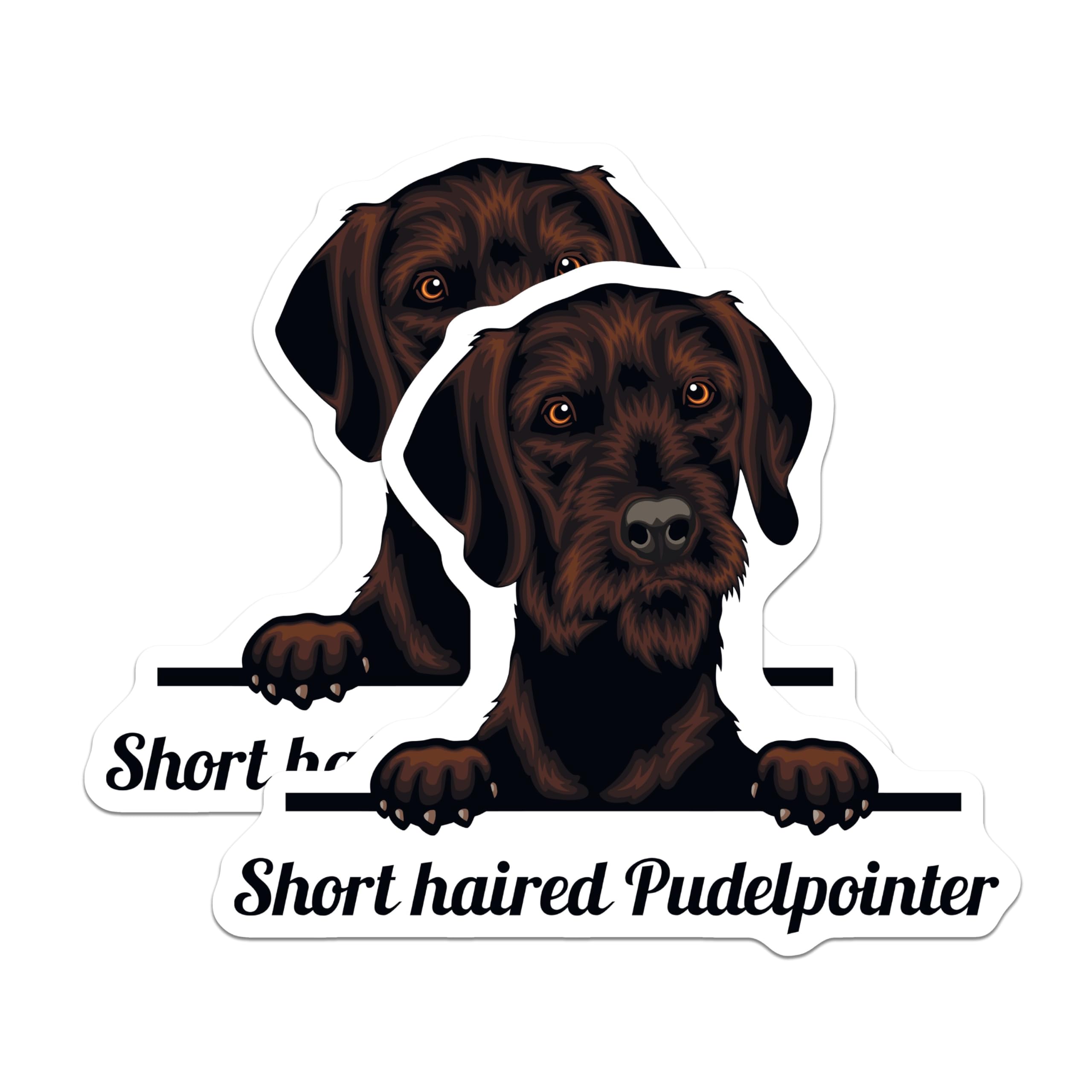 (2 Pack) Short Haired Pudelpointer Stickers - Cute Dog Decal - Animal Lover Stickers - 5" On Longest Side - Sticks to Smooth Flat Surfaces - Made in USA - BMCS4228