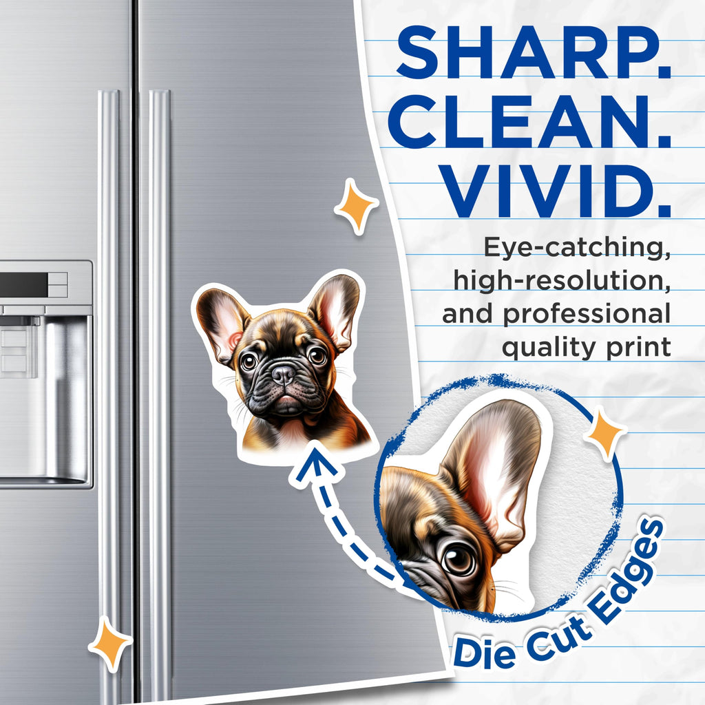 (2 Pack) French Bulldog Puppy Magnets - Adorable Frenchie Dog Refrigerator Decor - Pet Animal Lover Kitchen Accessory - 5 Inches On Longest Side - Thick Durable Magnet - Made in USA - MAG23759
