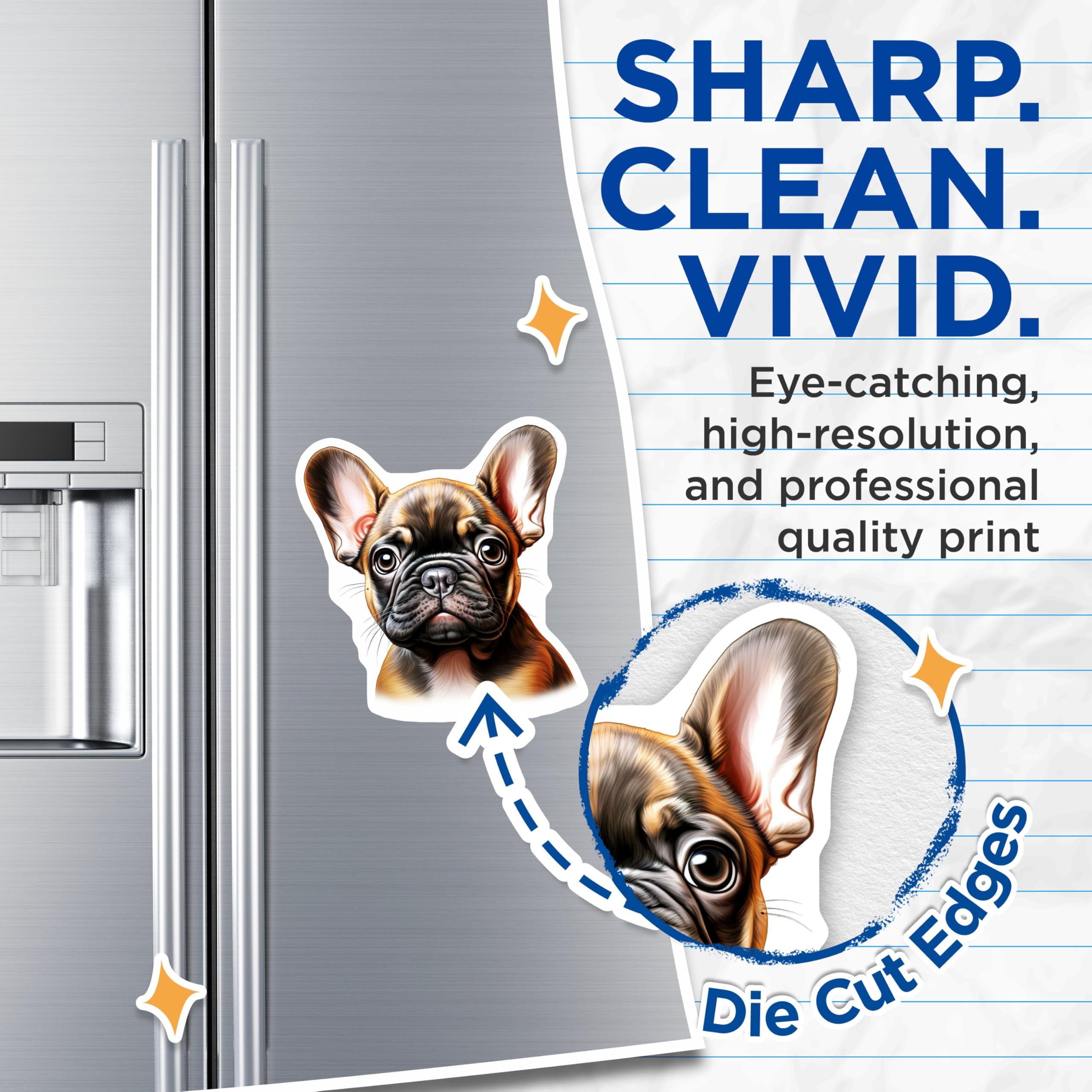 (2 Pack) French Bulldog Puppy Magnets - Adorable Frenchie Dog Refrigerator Decor - Pet Animal Lover Kitchen Accessory - 5 Inches On Longest Side - Thick Durable Magnet - Made in USA - MAG23759