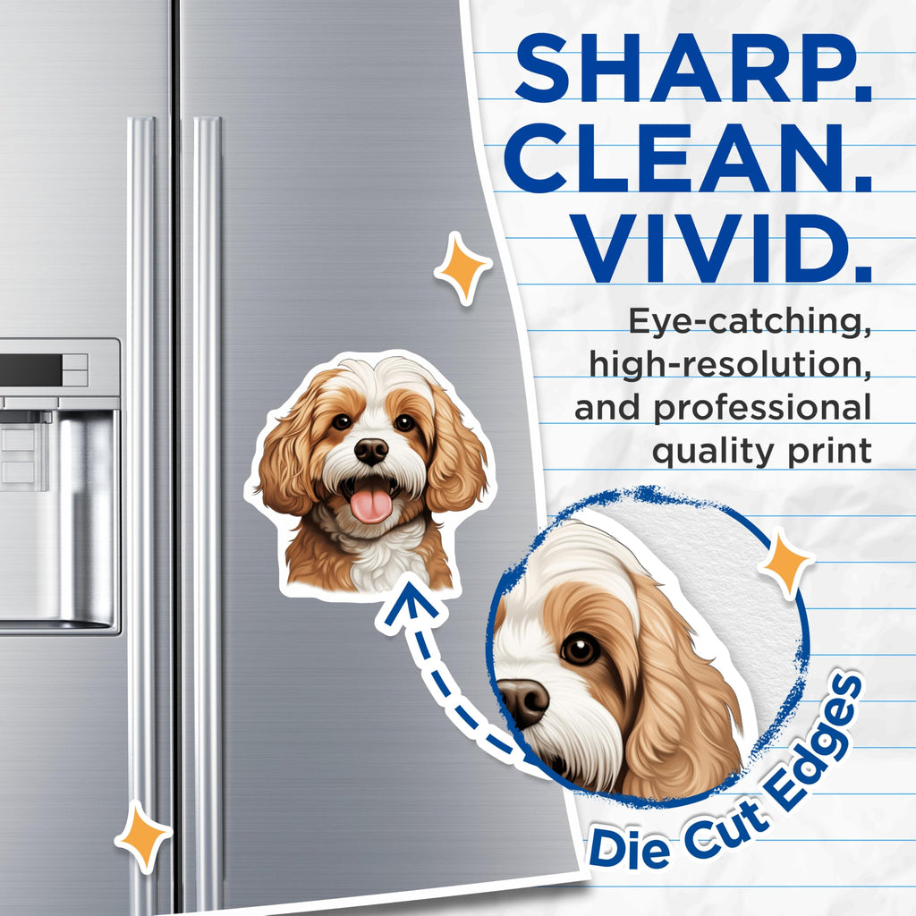 (2 Pack) Cavalier King Charles Magnets - Cute Dog Art - Pet Lover Fridge Decor - 5 Inches On Longest Side - Thick Durable Magnet - Made in USA - MAG30058