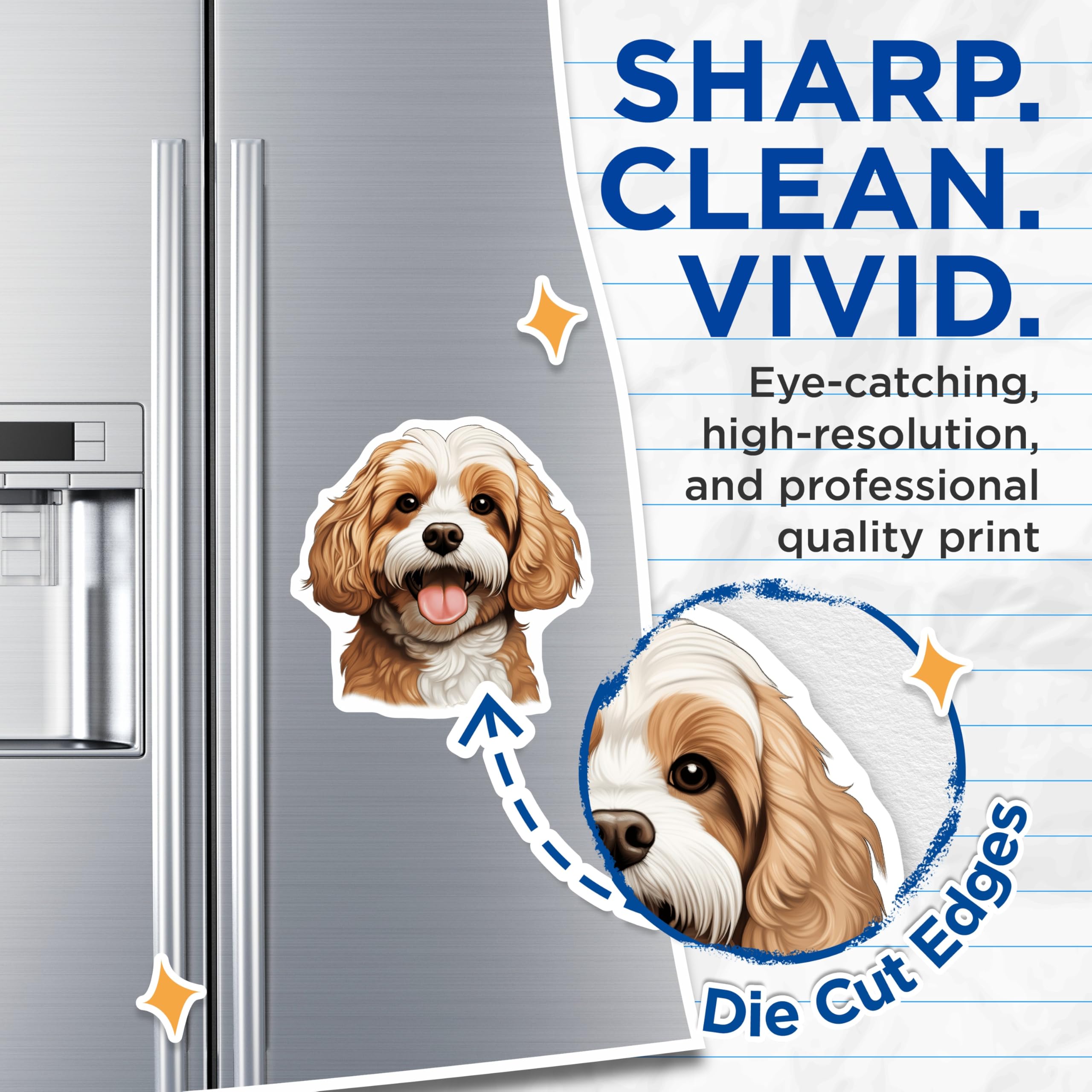 (2 Pack) Cavalier King Charles Magnets - Cute Dog Art - Pet Lover Fridge Decor - 5 Inches On Longest Side - Thick Durable Magnet - Made in USA - MAG30058