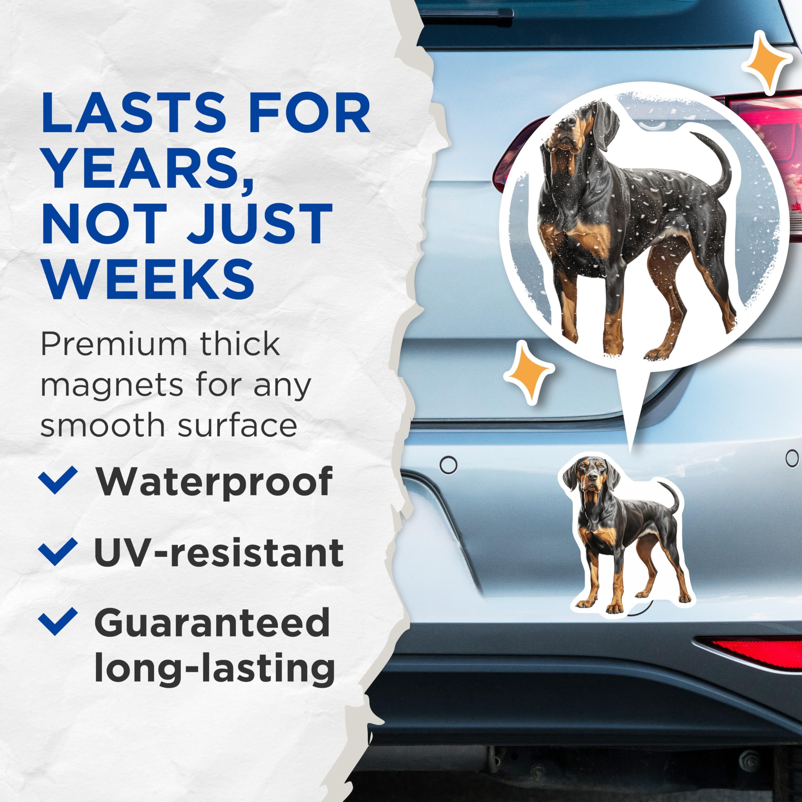 (2 Pack) Black and Tan Coonhound Magnets - Dog Owner Refrigerator Decor - Hound Dog Lover Home Accents - 5 Inches On Longest Side - Thick Durable Magnet - Made in USA - MAG28469