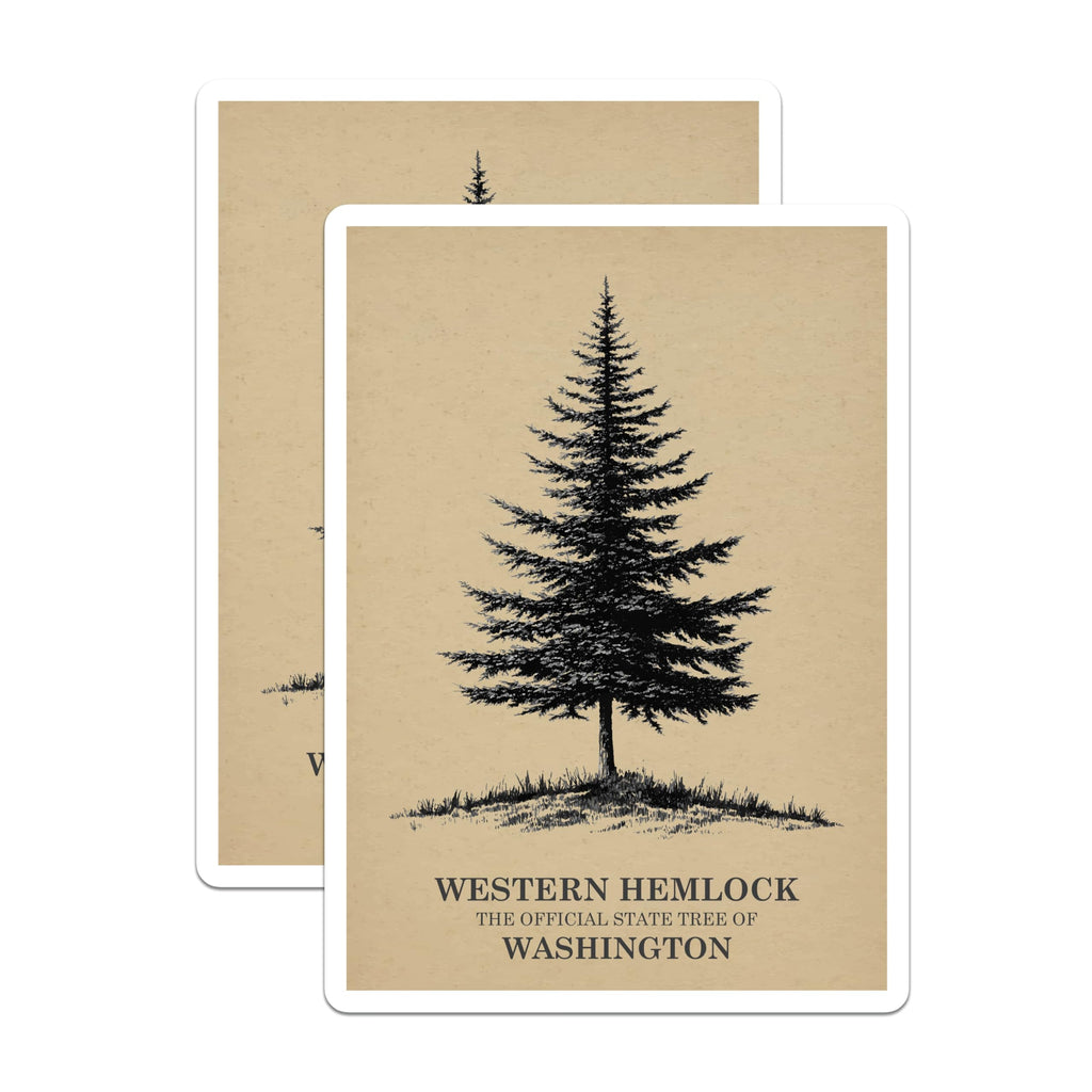 (2 Pack) Western Hemlock Magnets - Washington State Tree - Botanical Forest Decor - 5 Inches On Longest Side - Thick Durable Magnet - Made in USA - MAG19338