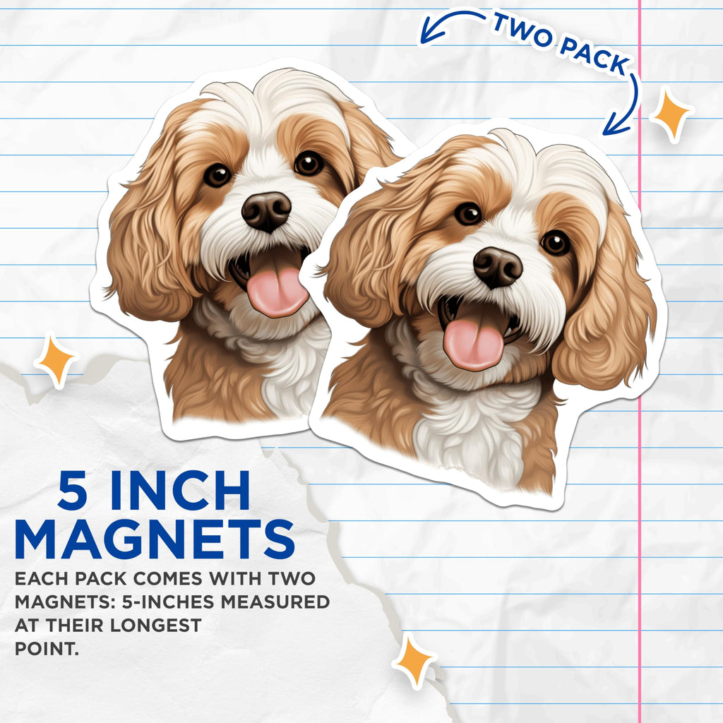 (2 Pack) Cavalier King Charles Magnets - Cute Dog Art - Pet Lover Fridge Decor - 5 Inches On Longest Side - Thick Durable Magnet - Made in USA - MAG30058