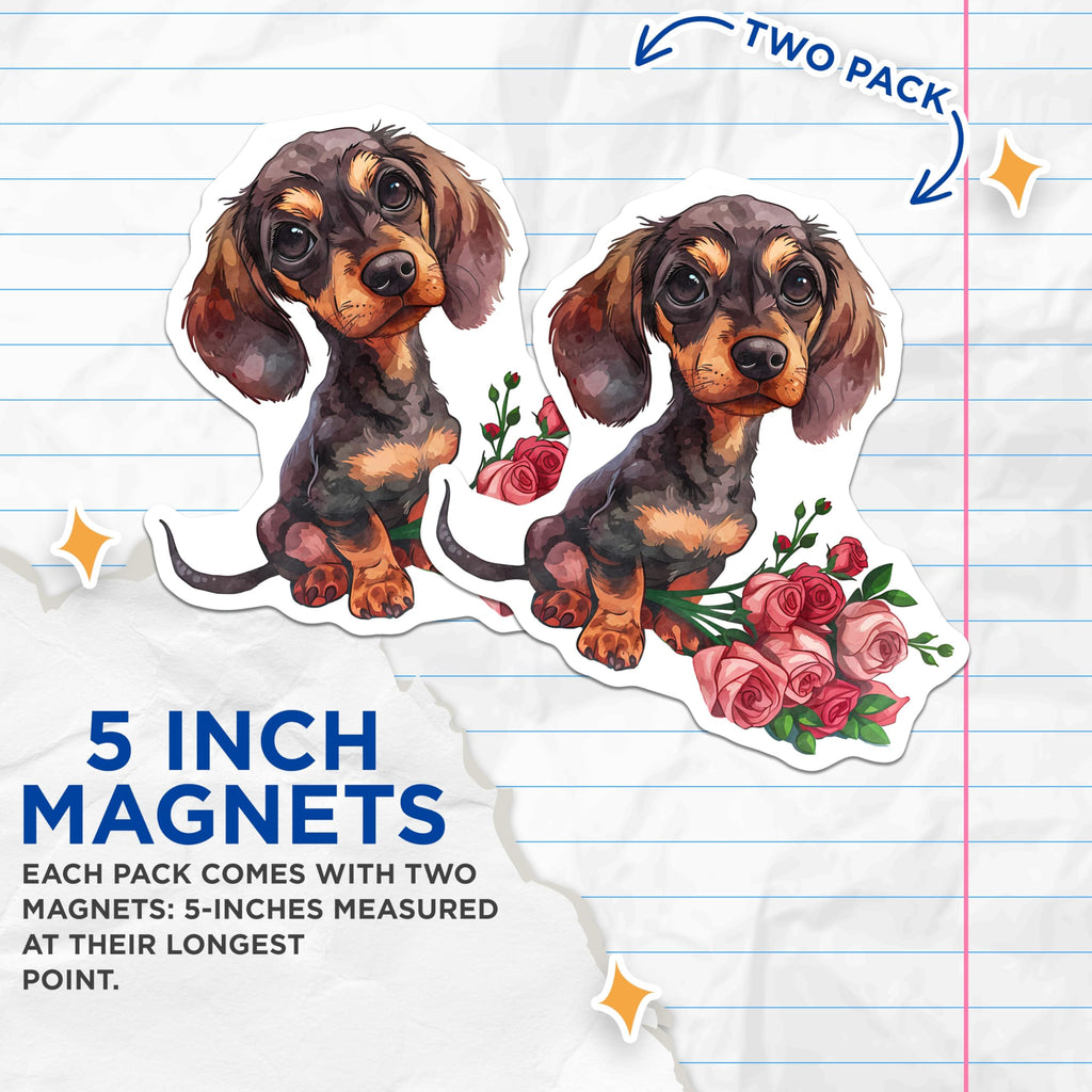 (2 Pack) Dachshund Magnets - Cute Dog Magnets - Floral Decor Kitchen Magnets - 5" On Longest Side - Premium Magnet - for Cars, Refrigerators, Toolboxes, Lockers - Made in USA - MAG16501