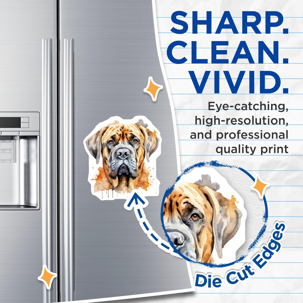 (2 Pack) Mastiff Dog Watercolor Magnets - Dog Lover Decor - Pet Owner Fridge Art - 5 Inches On Longest Side - Thick Durable Magnet - Made in USA - MAG25462