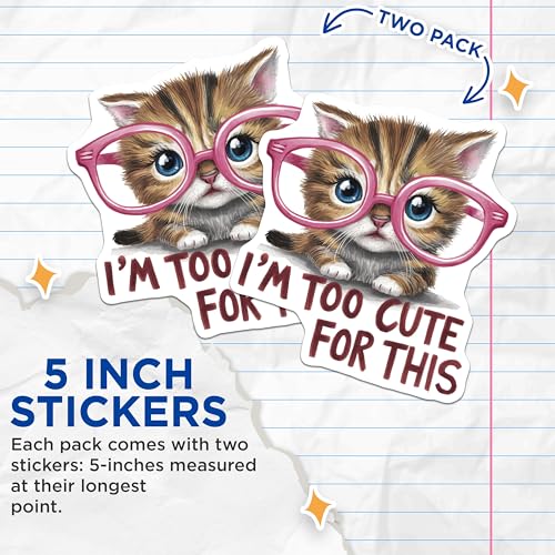 (2 Pack) I'm Too Cute for This Cat Stickers - Funny Cat Meme - Cute Animal Lover Decal - 5" On Longest Side - Sticks to Smooth Flat Surfaces - Made in USA - BMCS8911