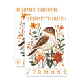 (2 Pack) Hermit Thrush Magnets - Vermont State Bird Decor - Bird Lover Gift Magnet - 5" On Longest Side - Premium Magnet - for Cars, Refrigerators, Toolboxes, Lockers - Made in USA - MAG17281
