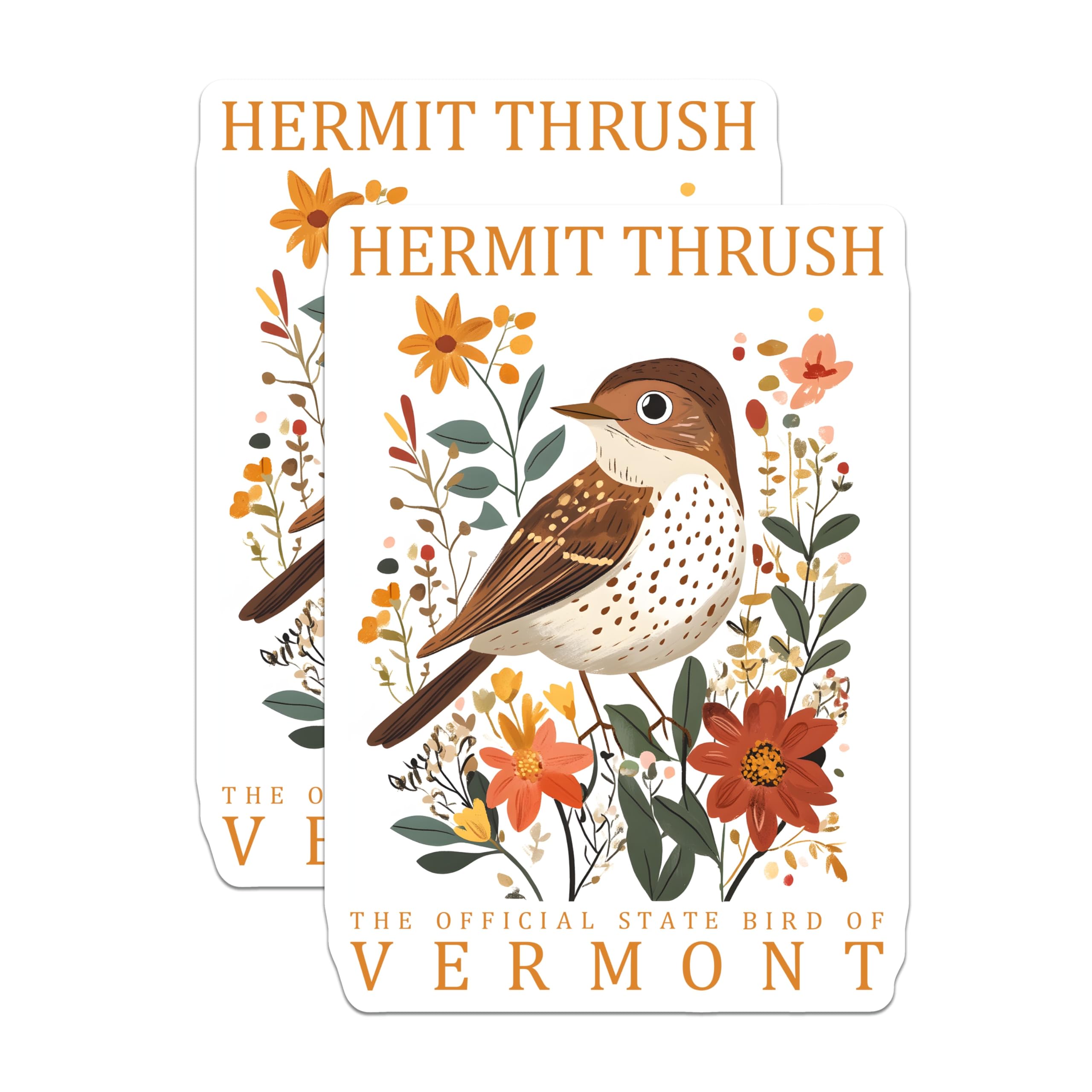 (2 Pack) Hermit Thrush Magnets - Vermont State Bird Decor - Bird Lover Gift Magnet - 5" On Longest Side - Premium Magnet - for Cars, Refrigerators, Toolboxes, Lockers - Made in USA - MAG17281