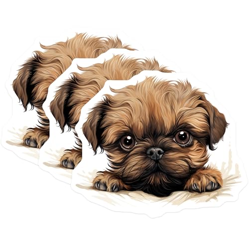 (3 Pack) Brussels Griffon Decals - Cute Dog Breed - Laptop Decals - 3 Inches On Longest Side - Easy Peel & Apply - Made in USA - 3MCS8654