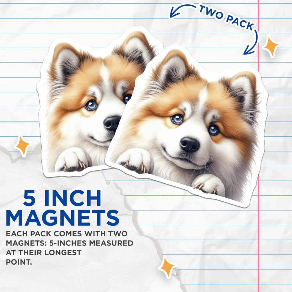 (2 Pack) Pomsky Dog Magnets - Cute Puppy Art - Fridge Office Decor - 5" On Longest Side - Premium Magnet - for Cars, Refrigerators, Toolboxes, Lockers - Made in USA - MAG15904