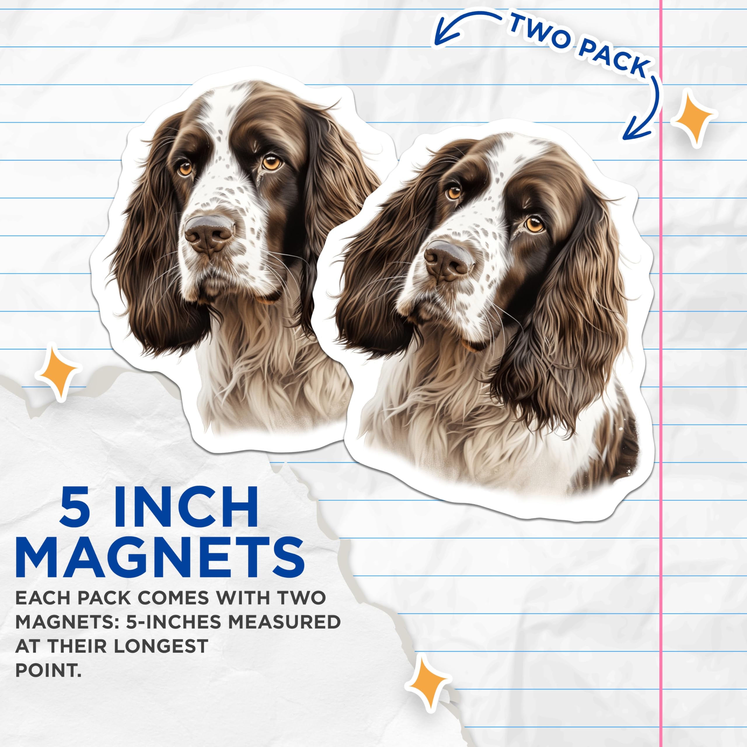 (2 Pack) Springer Spaniel Magnets - Dog Lover Refrigerator Decor - Canine Portrait Art - 5 Inches On Longest Side - Thick Durable Magnet - Made in USA - MAG30862