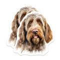 (2 Pack) Wirehaired Pointing Griffon Magnets - Scruffy Dog Watercolor Art - Canine Companion Fridge Kitchen Decor - 5 Inches On Longest Side - Thick Durable Magnet - Made in USA - MAG24092