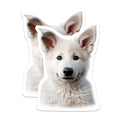 (2 Pack) Cute White Puppy Magnets - Adorable Dog Lover Decor - Pet Owner Kitchen Accent - 5 Inches On Longest Side - Thick Durable Magnet - Made in USA - MAG26015
