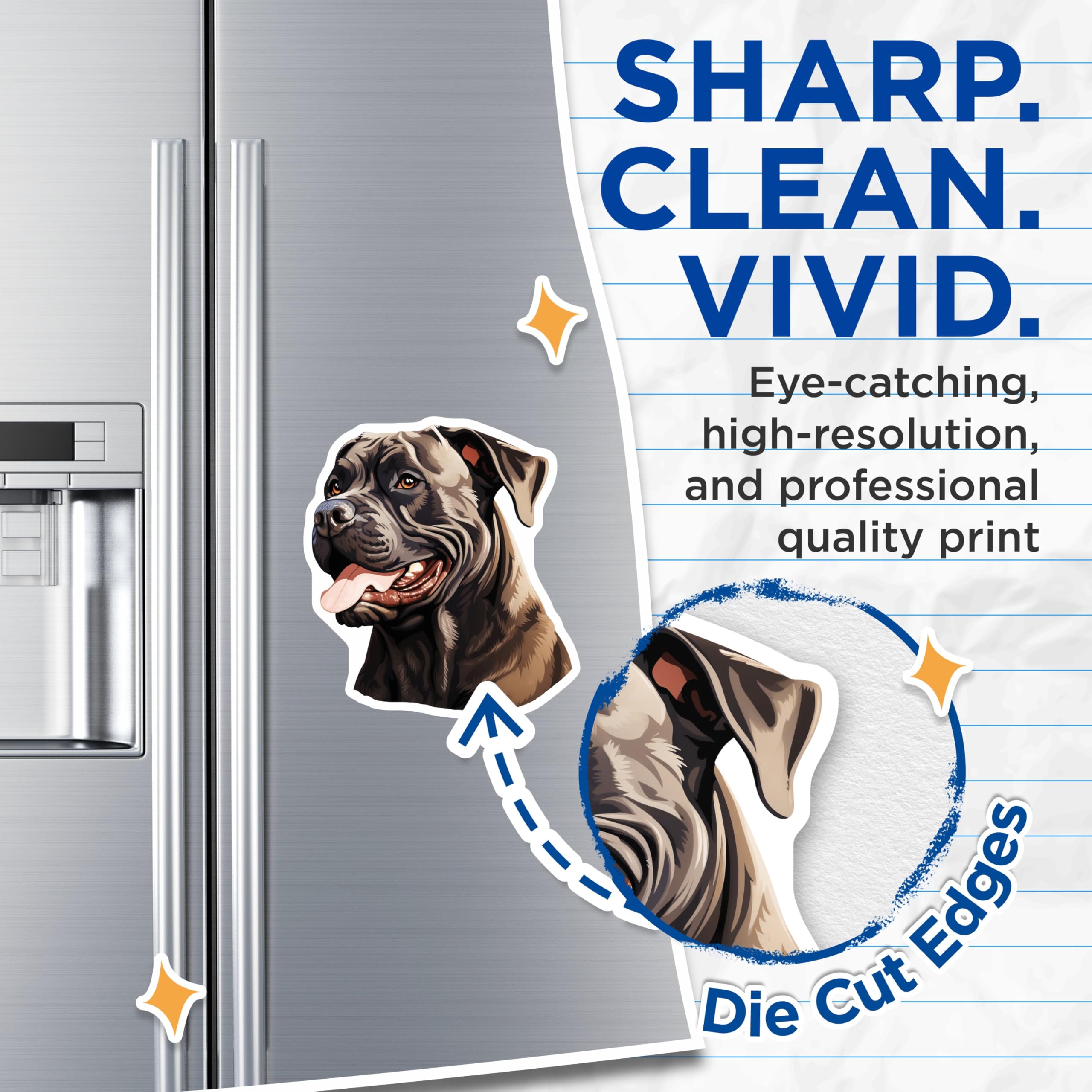 (2 Pack) Cane Corso Magnets - Dog Breed Illustration - Pet Lover Refrigerator Decor - Unique Animal Art - 5 Inches On Longest Side - Thick Durable Magnet - Made in USA - MAG23276