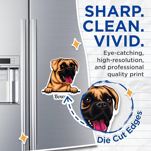 (2 Pack) Boxer Dog Magnets - Cute Dog - Pet Lover - Animal Fridge Magnets - Cartoon Dog Magnets - Dog Themed Magnets - 5" On Longest Side - for Cars, Fridges, Toolboxes - Made in USA - MAG4211
