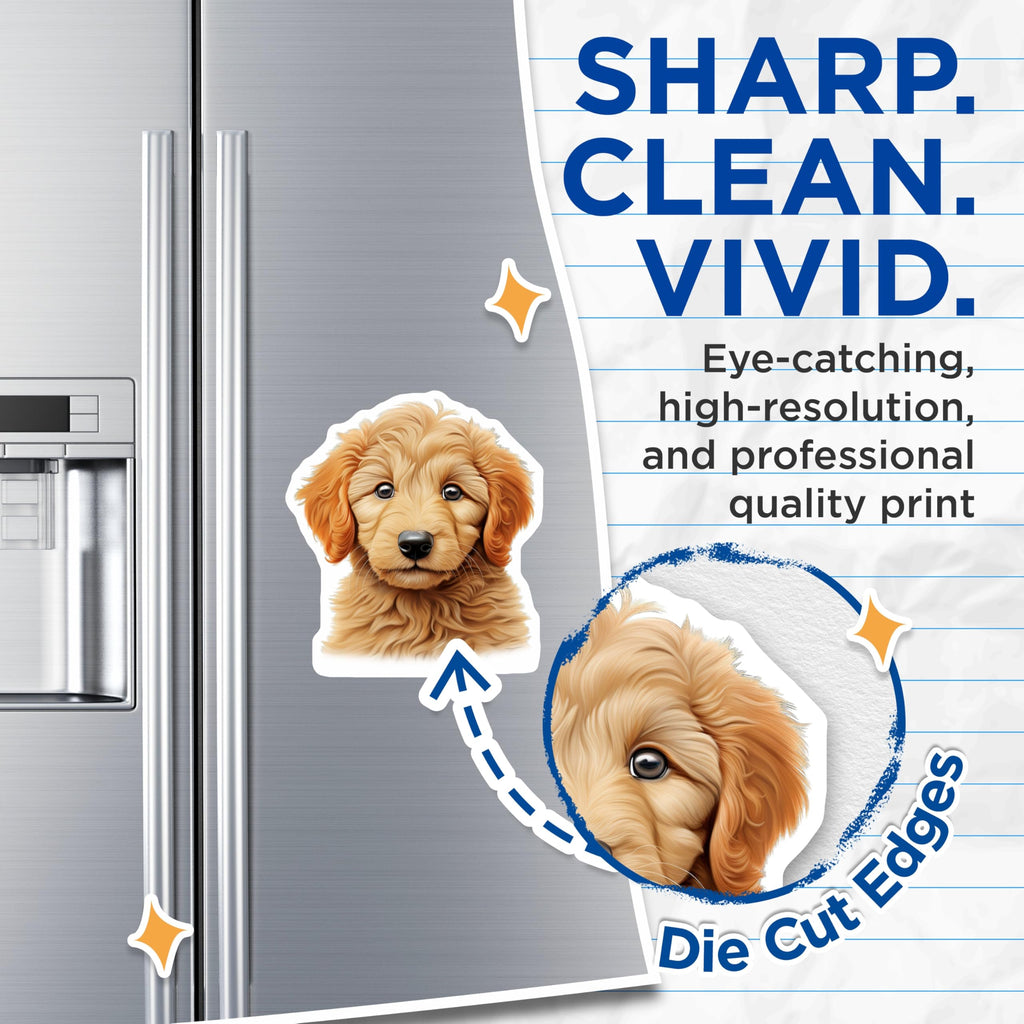 (2 Pack) Golden Retriever Puppy Magnets - Adorable Fluffy Dog Lover Refrigerator Decor - Pet Parent Kitchen Art - 5 Inches On Longest Side - Thick Durable Magnet - Made in USA - MAG26193
