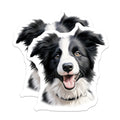 (2 Pack) Border Collie Magnets - Happy Dog Lover Decor - Pet Parent Refrigerator Locker Home Accent Collectibles - 5 Inches On Longest Side - Thick Durable Magnet - Made in USA - MAG25607