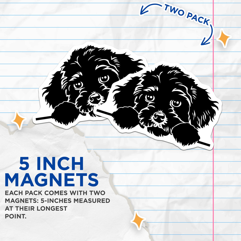(2 Pack) Cute Poodle Dog Magnets - Peekaboo Puppy Refrigerator - Pet Vehicle Decor - 5 Inches On Longest Side - Thick Durable Magnet - Made in USA - MAG38650