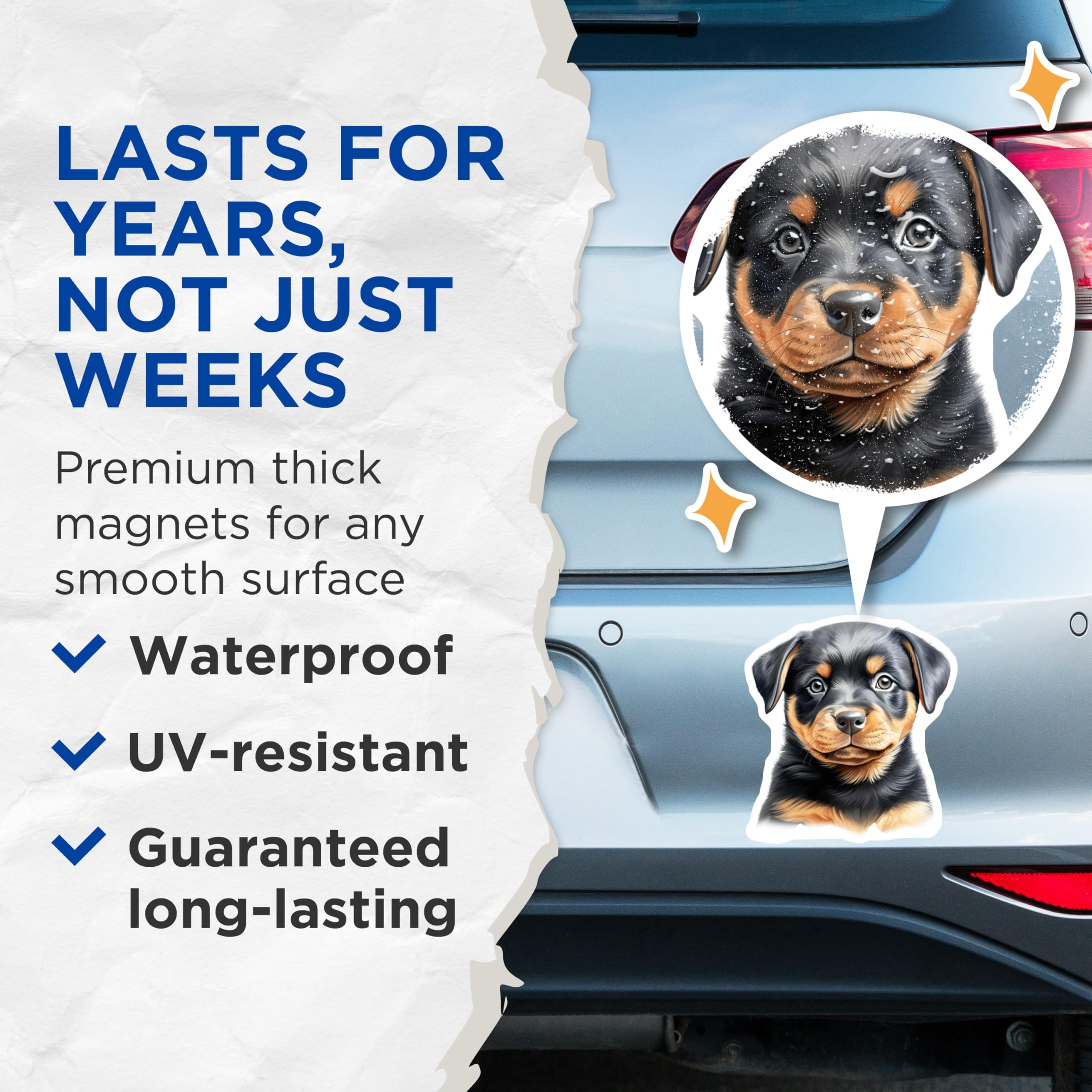 (2 Pack) Rottweiler Puppy Magnets - Cute Dog Face - Pet Lover Fridge Locker Decor - 5 Inches On Longest Side - Thick Durable Magnet - Made in USA - MAG27560