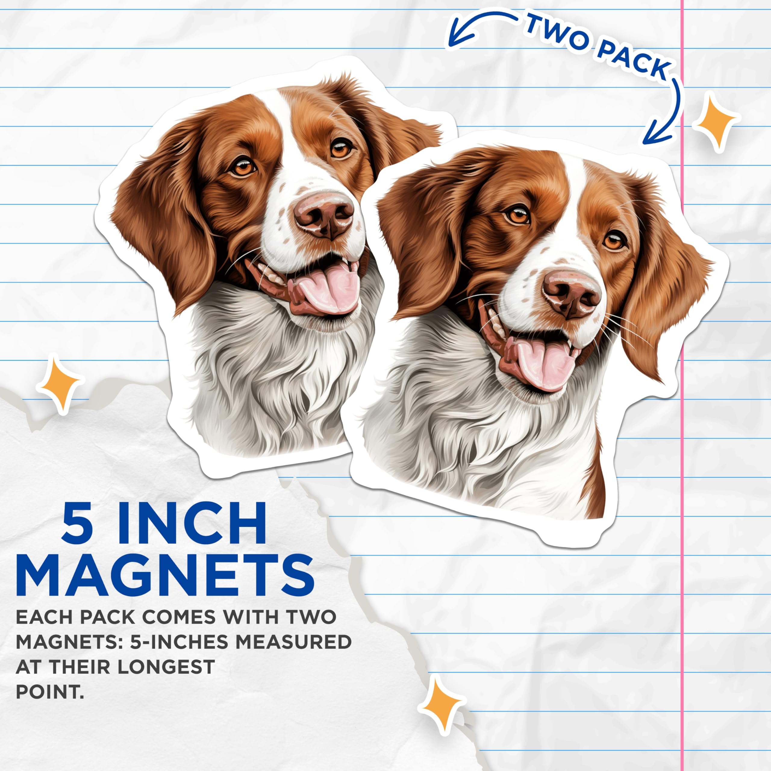 (2 Pack) Brittany Spaniel Magnets - Pet Dog Portrait Art - Happy Canine Refrigerator Decor - Animal Lover Collection - 5 Inches On Longest Side - Thick Durable Magnet - Made in USA - MAG24121