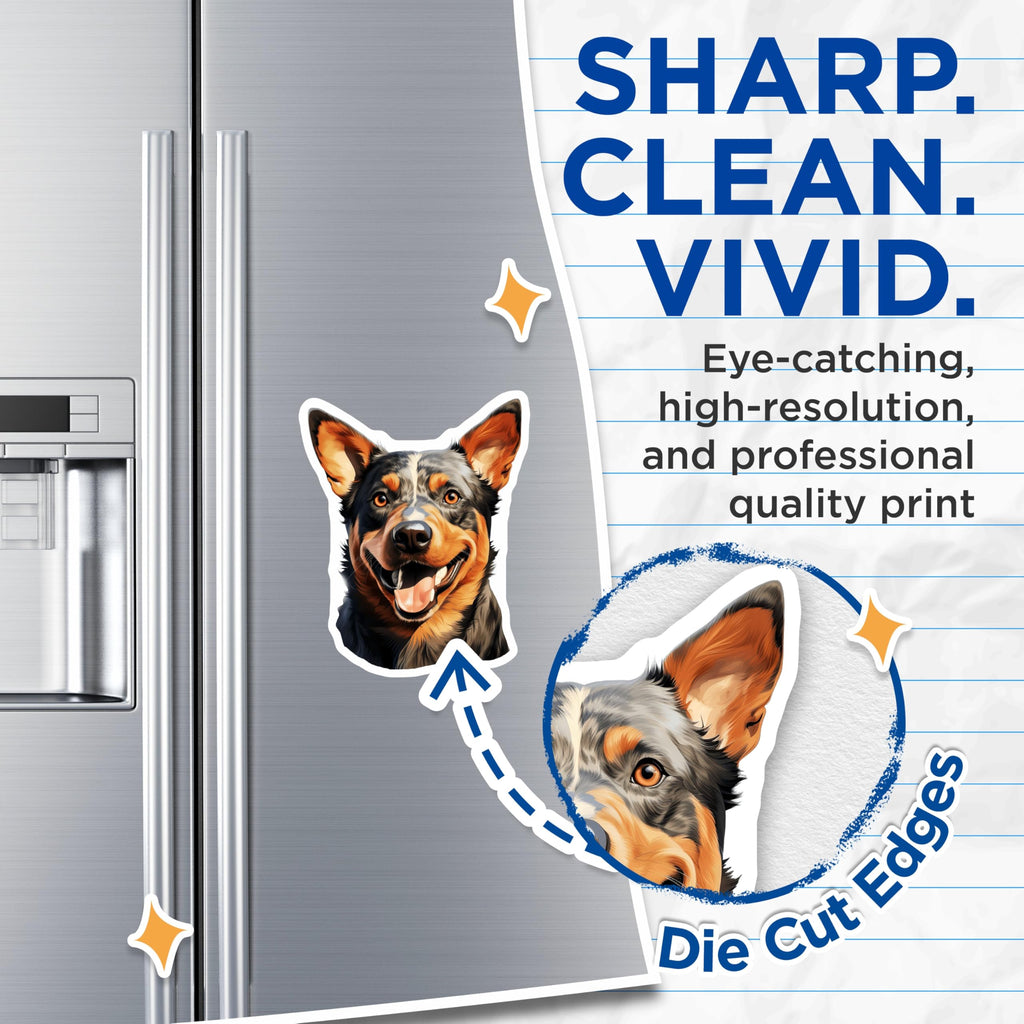 (2 Pack) Australian Cattle Dog Magnets - Blue Heeler Art - Smiling Dog Decor - Dog Mom Dad - 5 Inches On Longest Side - Thick Durable Magnet - Made in USA - MAG29950