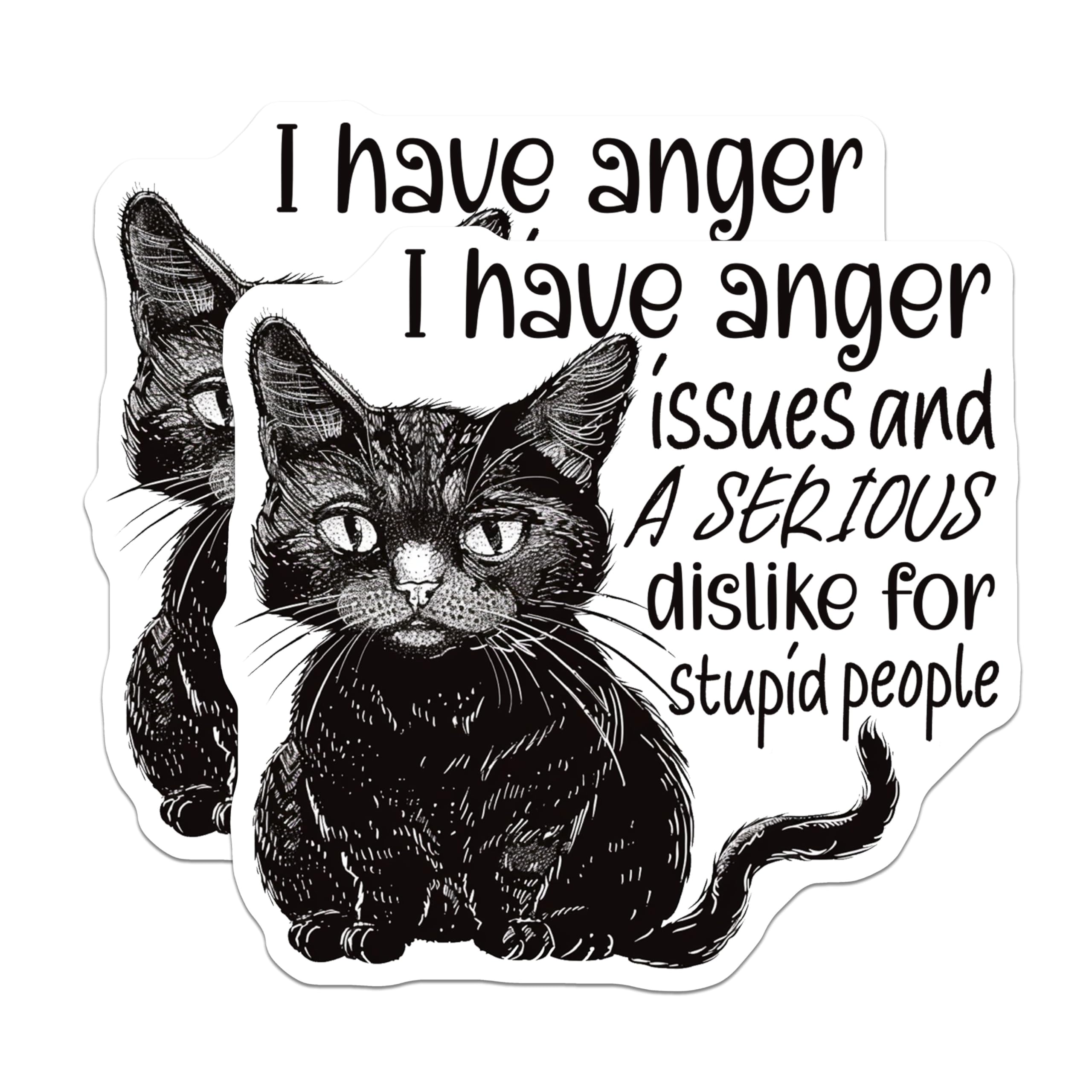(2 Pack) Funny Cat Stickers - Anger Issues Cat Stickers - Sarcastic Quote Stickers - 5" On Longest Side - Sticks to Smooth Flat Surfaces - Made in USA - BMCS4335