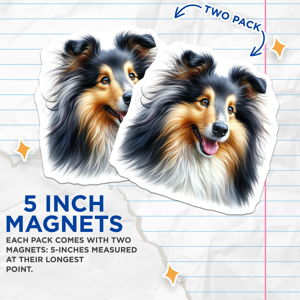 (2 Pack) Shetland Sheepdog Magnets - Collie Breed Art - Dog Mom Accessories - Pet Parent Decor - 5 Inches On Longest Side - Thick Durable Magnet - Made in USA - MAG39618