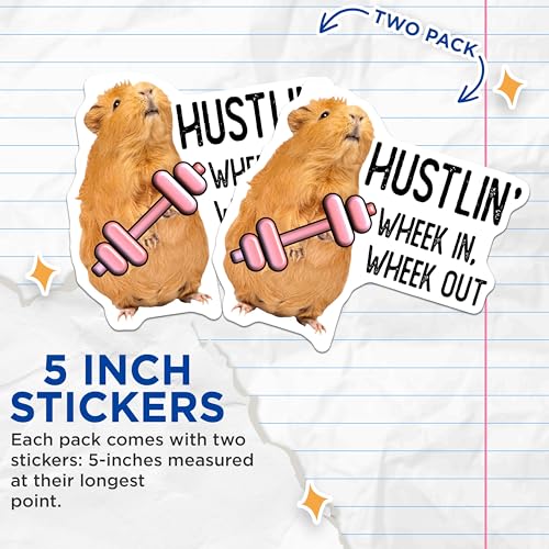 (2 Pack) Funny Guinea Pig Workout Stickers - Animal Fitness Stickers - Motivational Exercise Stickers - 5" On Longest Side - Sticks to Smooth Flat Surfaces - Made in USA - BMCS5077