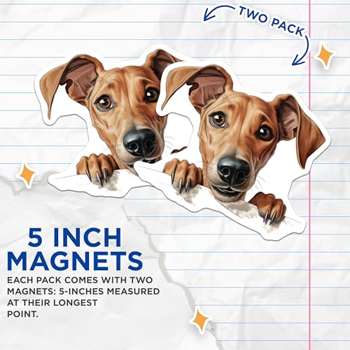 (2 Pack) 5" On Longest Side Magnet - Sticks to Smooth Flat Surfaces - Made in USA - MAG9849