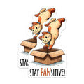 (2 Pack) Stay Pawsitive Cat Stickers - Cute Cat Stickers - Positive Affirmation Stickers for Animal Lovers - 5" On Longest Side - Sticks to Any Smooth Flat Surface - Made in USA - BMCS3130