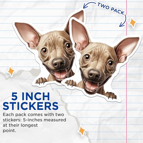 (2 Pack) Cute Dog Face Stickers - Funny Animal Stickers - Pet Lovers Stickers - 5" On Longest Side - Sticks to Smooth Flat Surfaces - Made in USA - BMCS9823