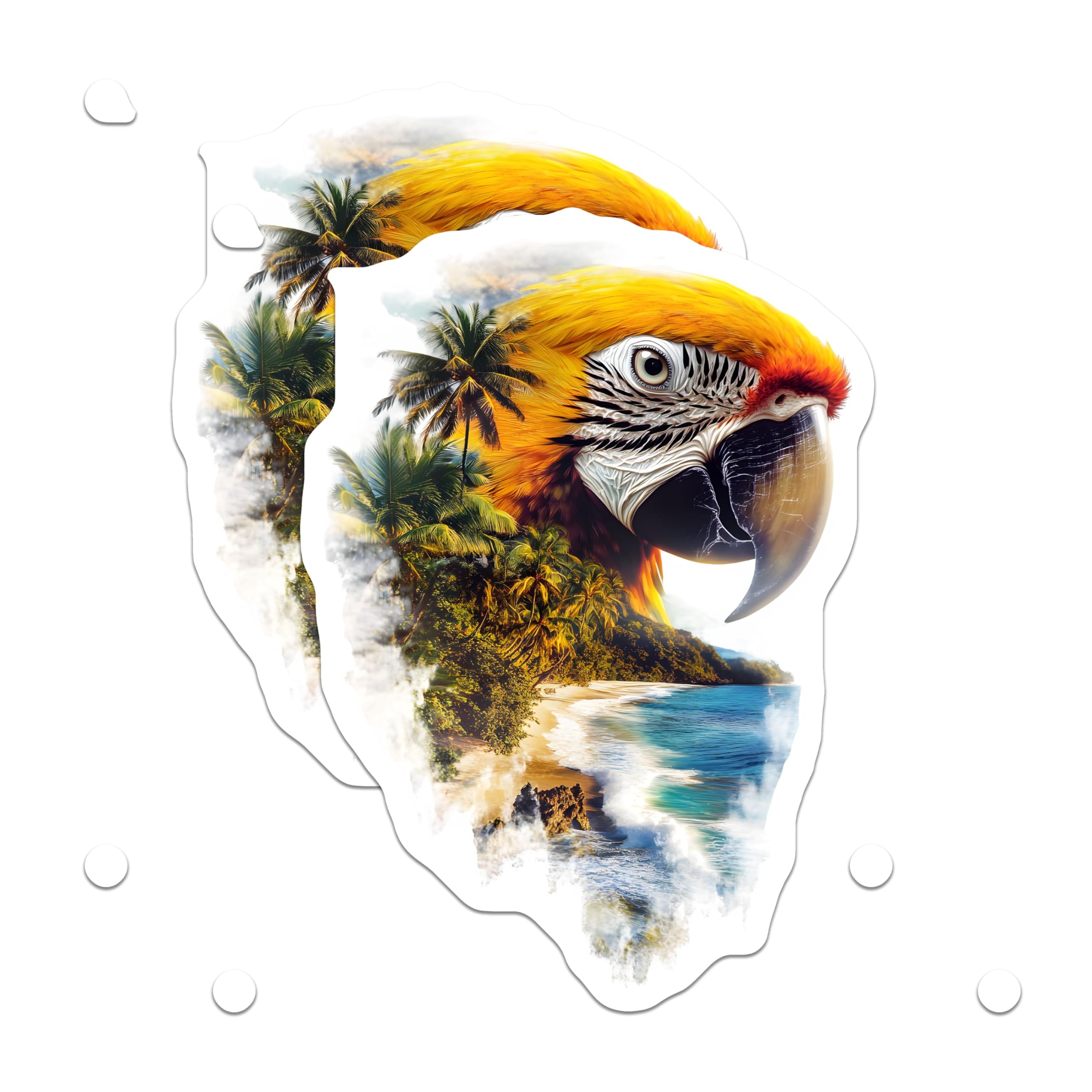 (2 Pack) Macaw Magnets - Tropical Beach Scene - Bird Lover Refrigerator Decor - 5" On Longest Side - Premium Magnet - for Cars, Refrigerators, Toolboxes, Lockers - Made in USA - MAG15878