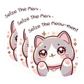 (3 Pack) Cute Cat Stickers - Funny Saying Decals - Laptop Decor - 3 Inches On Longest Side - Easy Peel & Apply - Made in USA - 3MCS1117