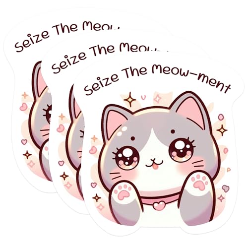 (3 Pack) Cute Cat Stickers - Funny Saying Decals - Laptop Decor - 3 Inches On Longest Side - Easy Peel & Apply - Made in USA - 3MCS1117