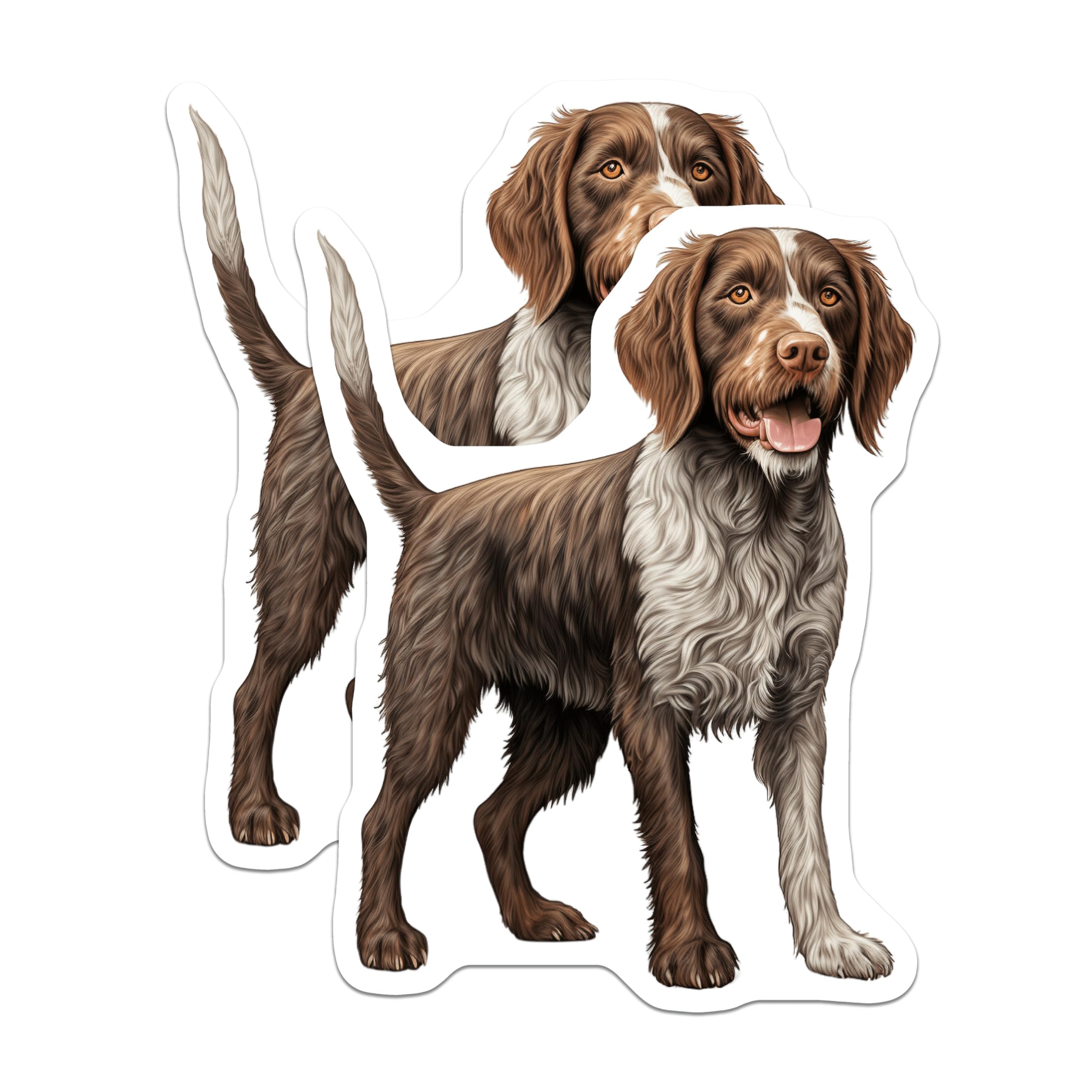 (2 Pack) German Shorthaired Pointer Magnets - GSP Dog Owner Accents - Realistic Pet Portrait - 5 Inches On Longest Side - Thick Durable Magnet - Made in USA - MAG25700