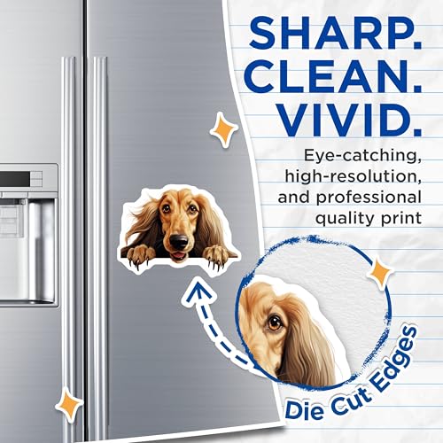 (2 Pack) Dog Themed Kitchen Decor Magnet - 5" On Longest Side - Sticks to Smooth Flat Surfaces - Made in USA - MAG9816