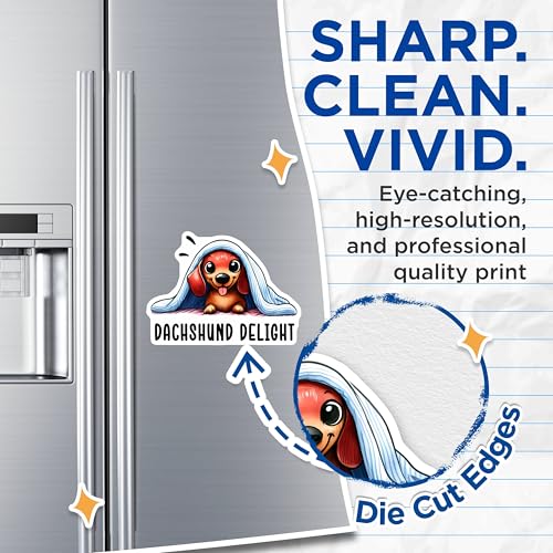 (2 Pack) Dachshund Delight Magnets - Cute Dog - Dachshund Puppy - Adorable Cartoon - Animal Lover - 5" On Longest Side - for Cars, Fridges, Toolboxes - Made in USA - MAG3623