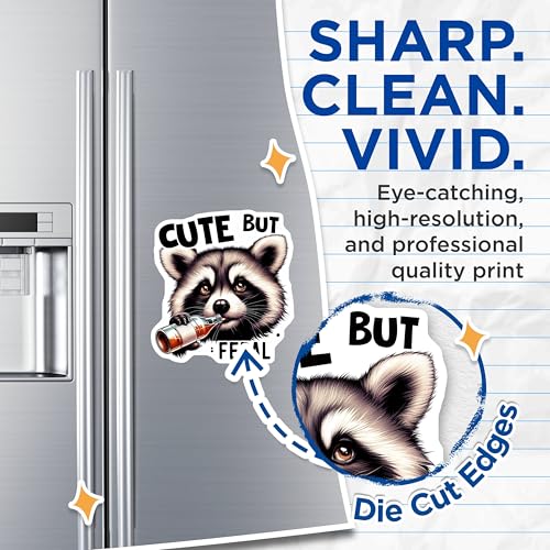 (2 Pack) Cute Raccoon Magnets - Adorable Animal Magnets - Funny Quote Magnets - Fridge - Kitchen Accessories - 5" On Longest Side - for Cars, Fridges, Toolboxes - Made in USA - MAG4575