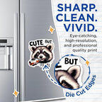 (2 Pack) Cute Raccoon Magnets - Adorable Animal Magnets - Funny Quote Magnets - Fridge - Kitchen Accessories - 5" On Longest Side - for Cars, Fridges, Toolboxes - Made in USA - MAG4575