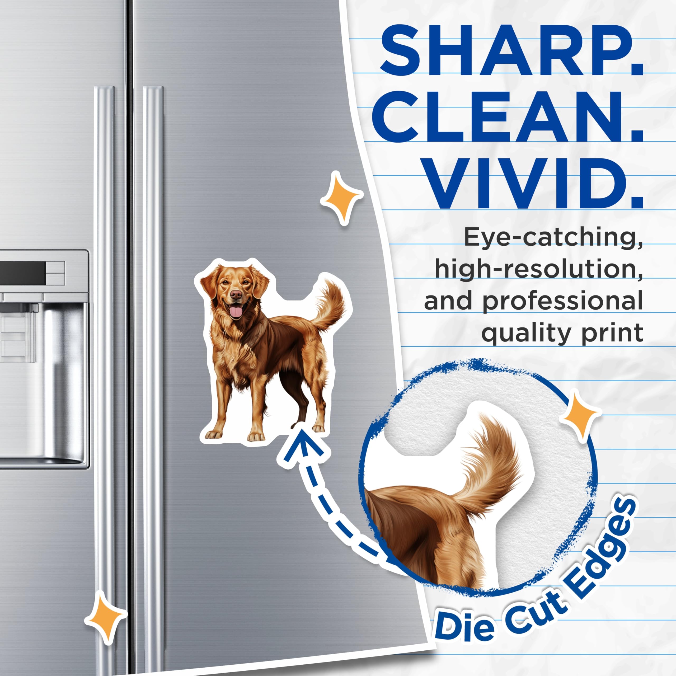 (2 Pack) Golden Retriever Magnets - Dog Lover Decor - Pet Parent Accessories - Animal Fridge Decor - 5 Inches On Longest Side - Thick Durable Magnet - Made in USA - MAG26668