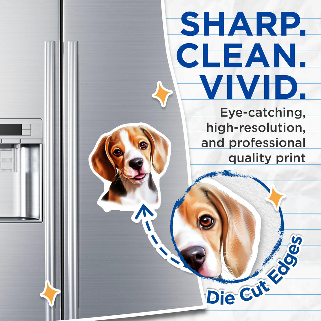 (2 Pack) Beagle Puppy Magnets - Adorable Beagle Art - Dog Owner Pet Decor - 5 Inches On Longest Side - Thick Durable Magnet - Made in USA - MAG30253